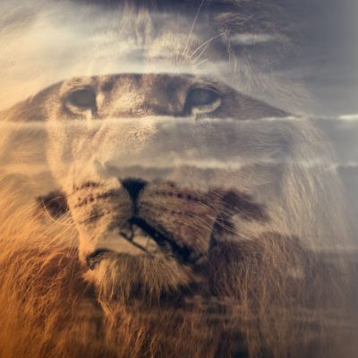 a3ede273767749.5d9f3ae996997